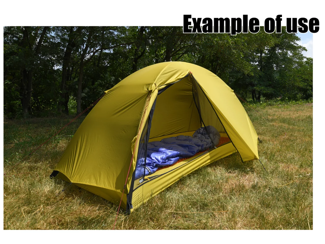 タープ+メッシュインナー:使用例