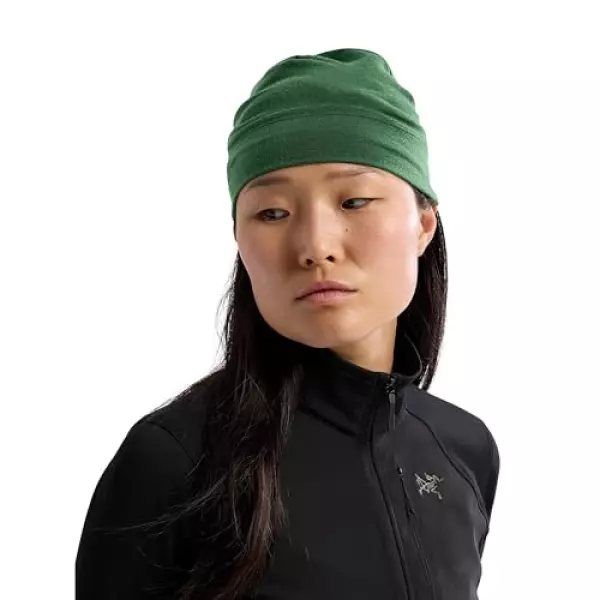 Arc'teryx ユニ 大人用 Rho 軽量ウールトーク, エデン。, S-M