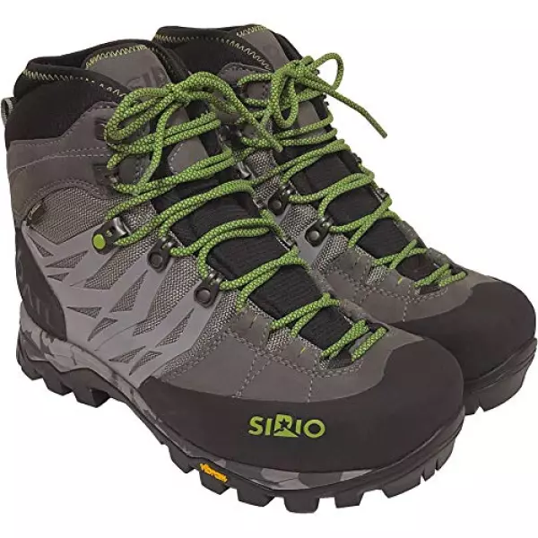 SIRIO(シリオ) P.F.46-3 463 チタン 285