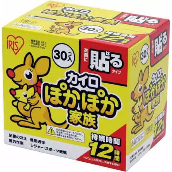 アイリスオーヤマ ぽかぽか家族 貼るレギュラー 30個×4箱