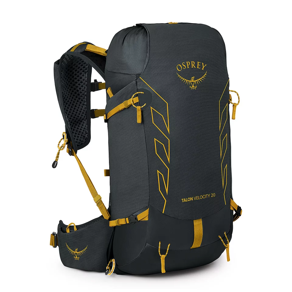 タロンベロシティ20