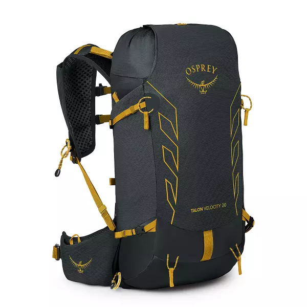 タロンベロシティ20