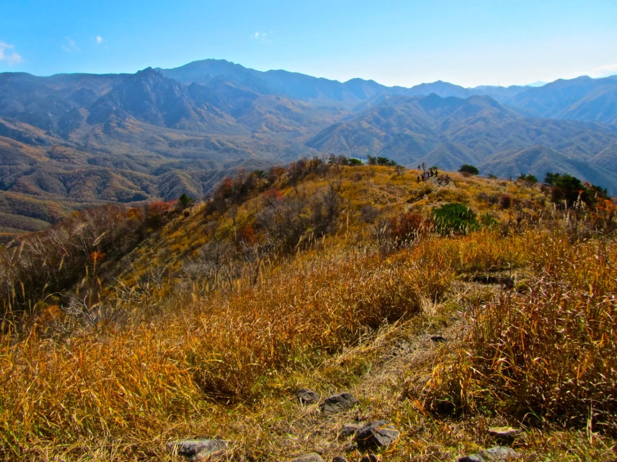【天空の草原からの絶景】初心者にもおすすめ!横尾山の難易度別登山コース紹介
