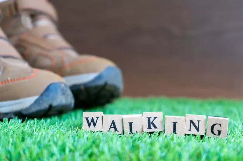 【2024年版】登山にも街歩きにも活躍!ハイキングシューズのおすすめ22選|登山靴|登山靴・シューズ|登山ギア|山のモノ|登山・トレラン・山スキーマガジン「山旅旅」