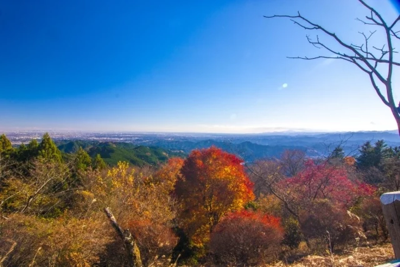 【埼玉県】おすすめの低山13選!初心者から中上級者向けまで日帰りできる山