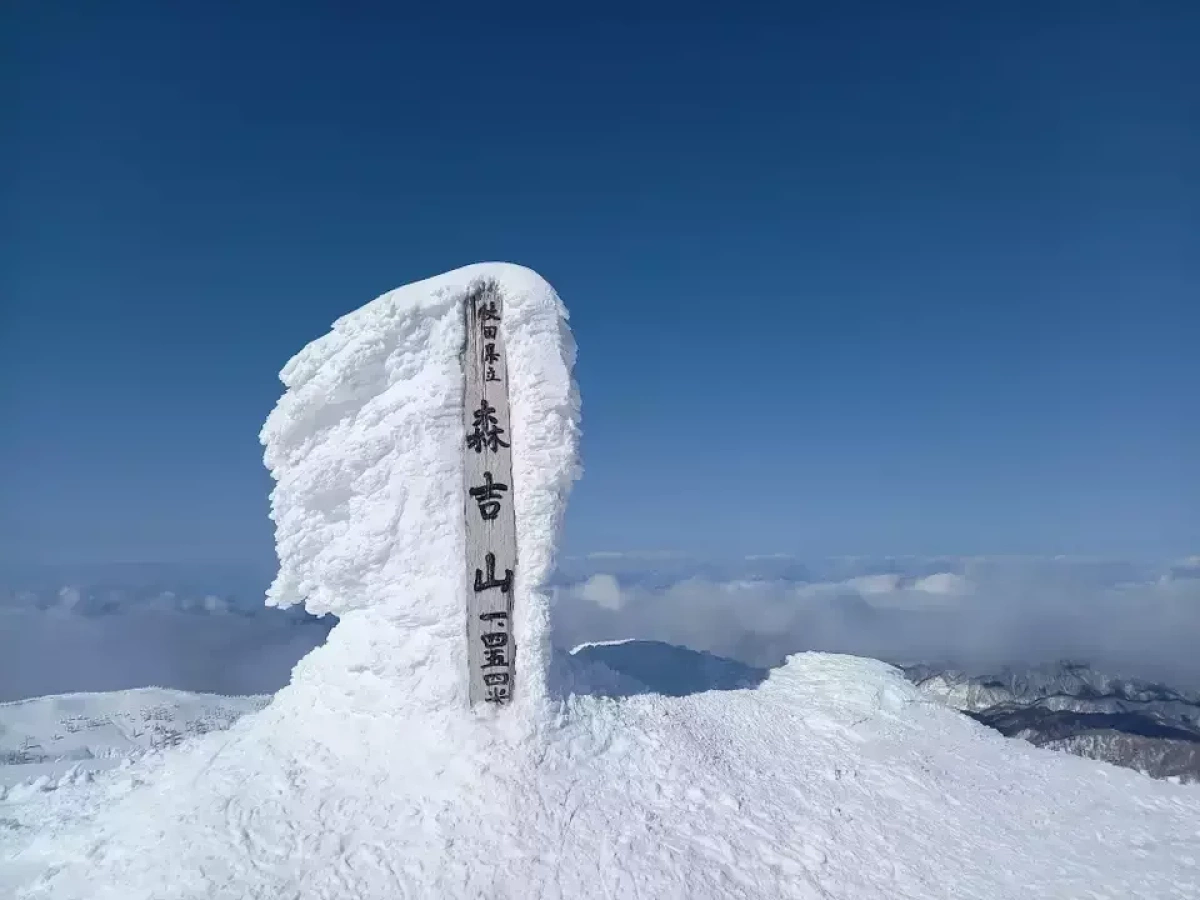 【森吉山】可憐な花々から冬のモンスターまで!難易度別登山ルートと登山口アクセス・各種情報をご紹介