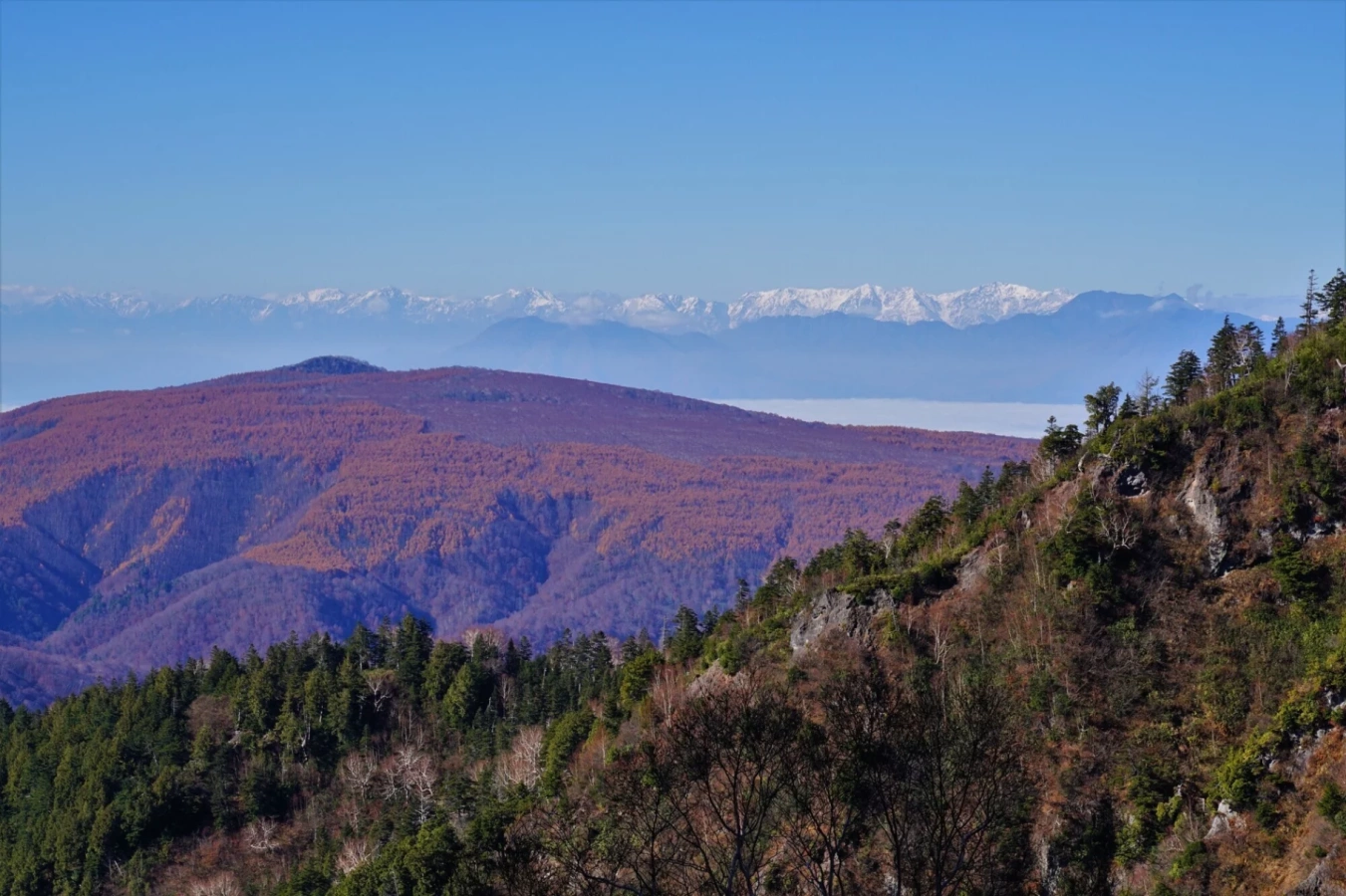 【信州木島平の山奥に広がる大自然】カヤの平から登る高標山の難易度別登山コース紹介