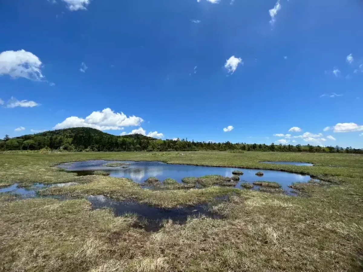【鬼怒沼山登山】天空湿原と関東最後の秘湯奥鬼怒四湯へようこそ|鬼怒沼山の難易度別登山ルートとおすすめスポットをご紹介