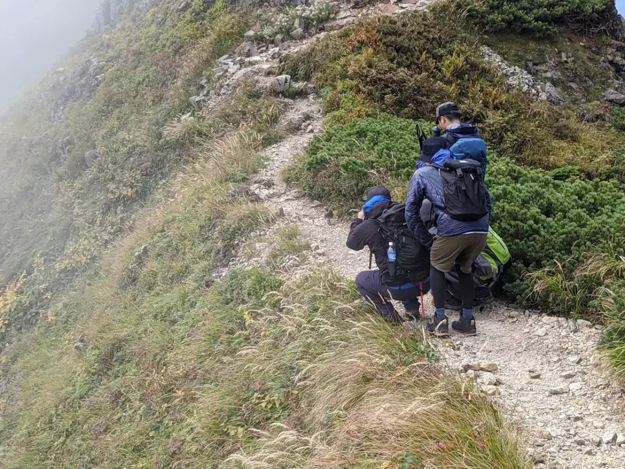 雷鳥がガーガーと僕たちの目を楽しませてくれた