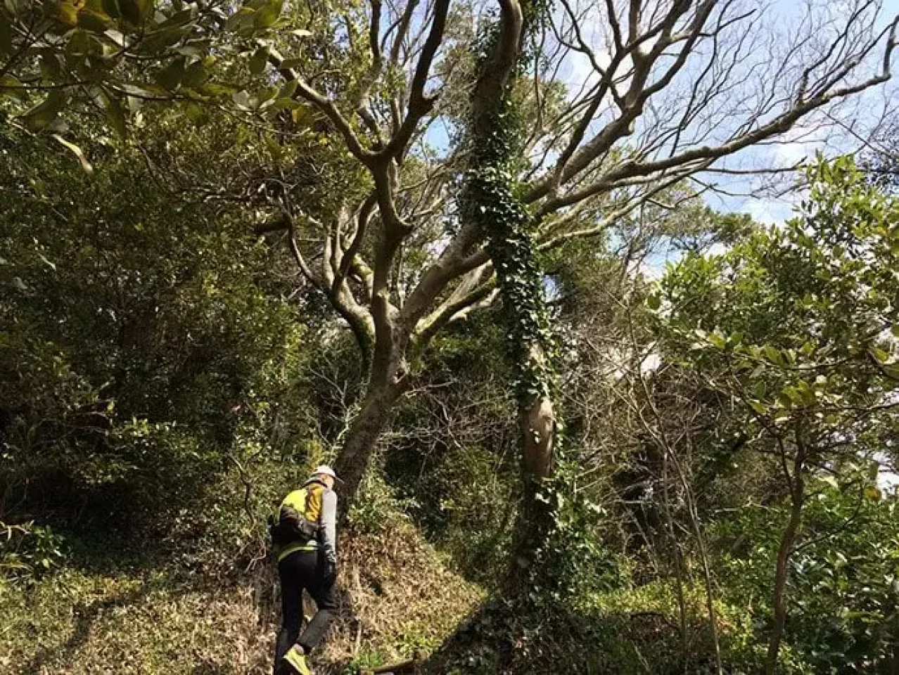 山ごはん『南瓜シチュー』