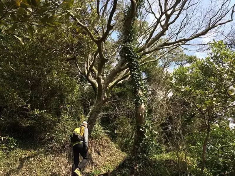 山ごはん『南瓜シチュー』