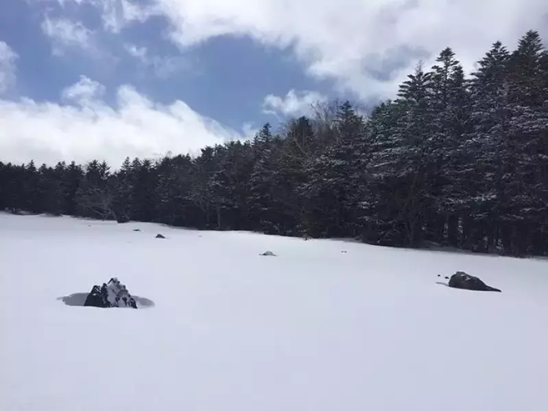北八ヶ岳雨池スノーシュー