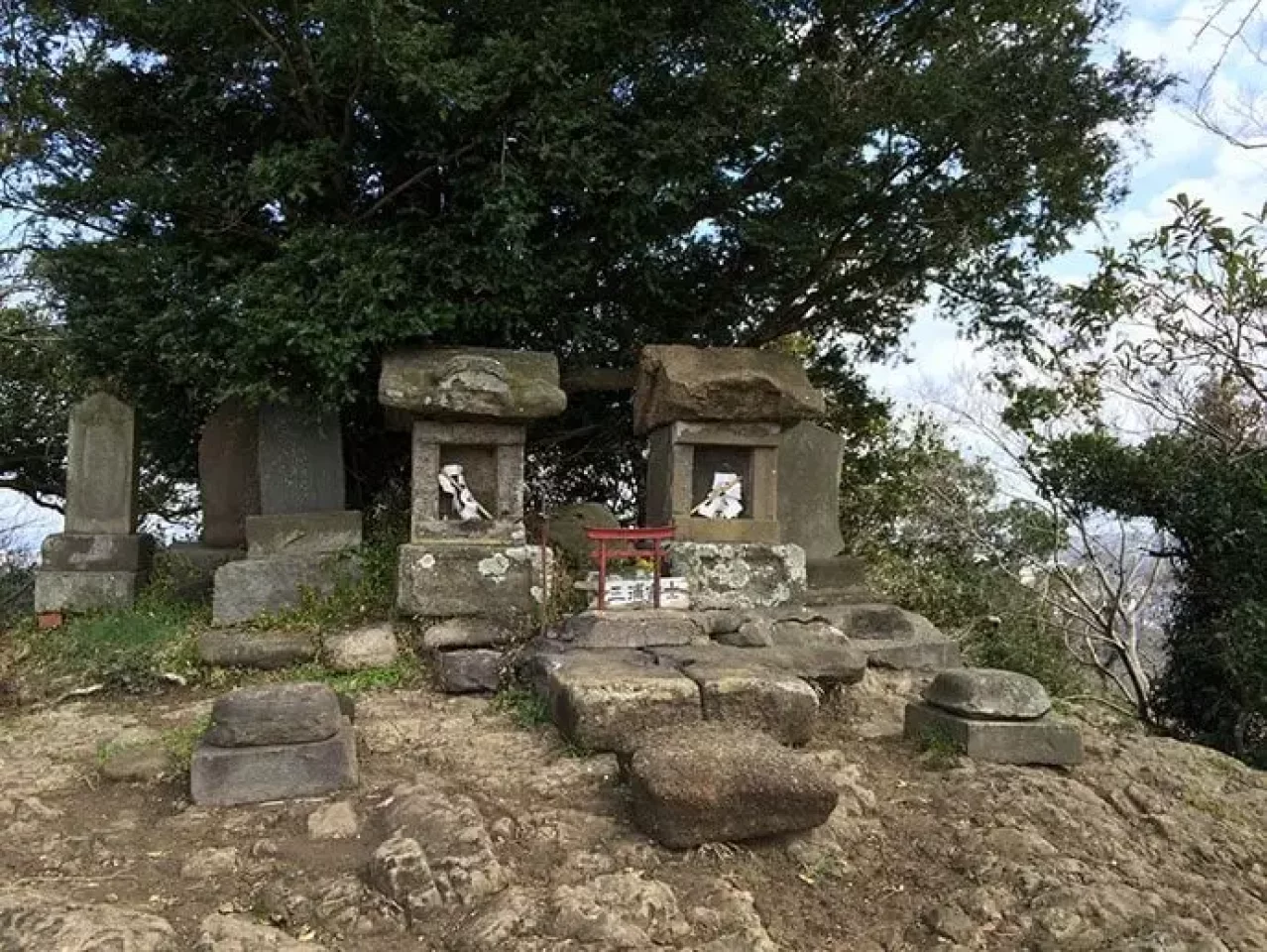 山ごはん『南瓜シチュー』