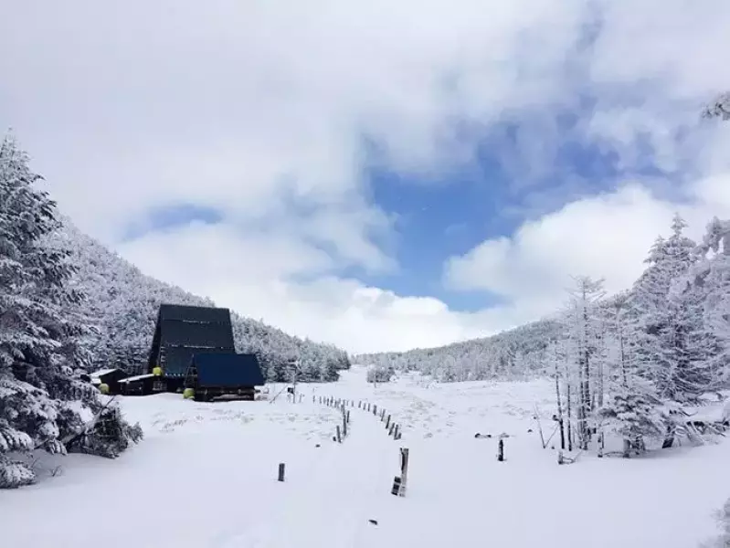 北八ヶ岳雨池スノーシュー