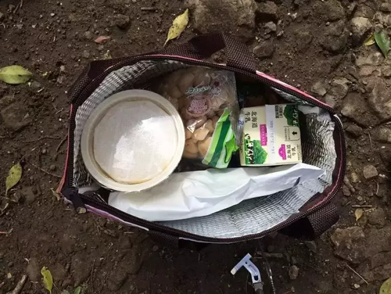 山ごはん『南瓜シチュー』