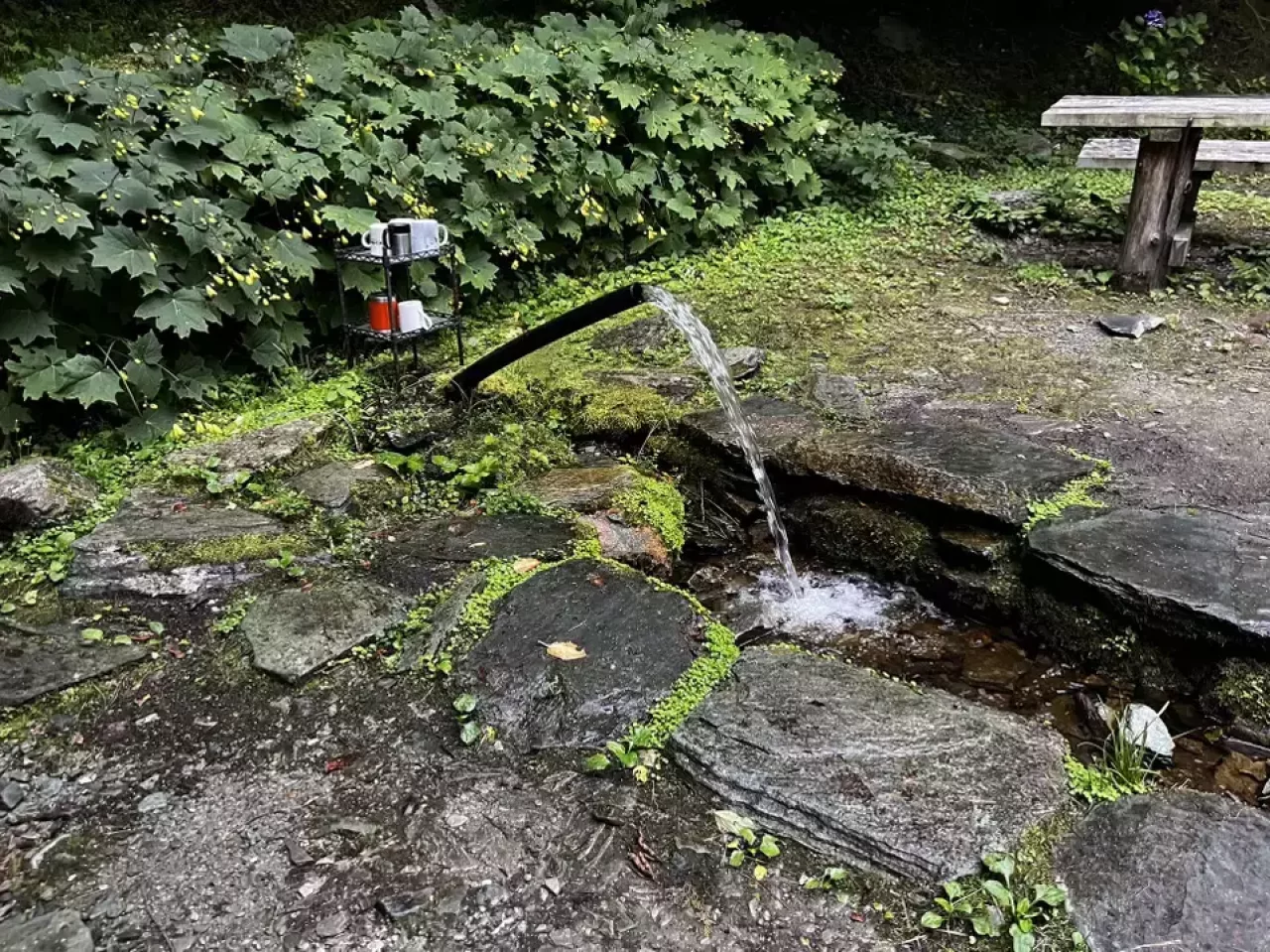 ダイヤモンド水