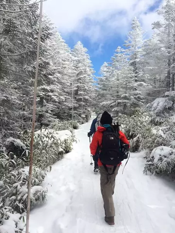 北八ヶ岳雨池の山ごはん