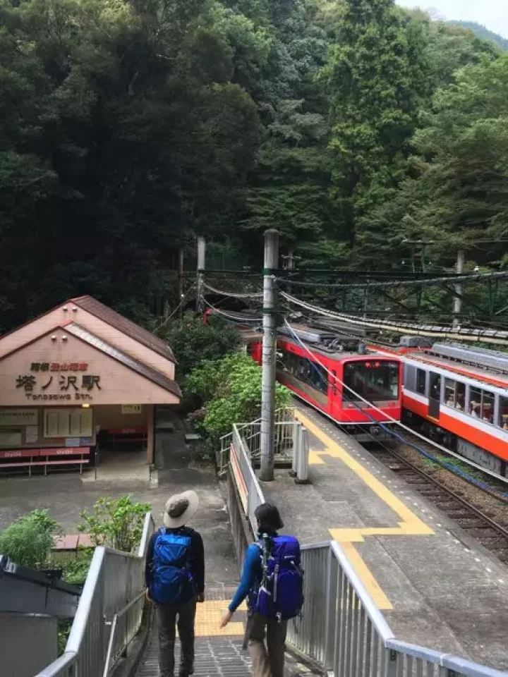 秋10月 湯阪路ハイキング『TSAMPA NOODLE』