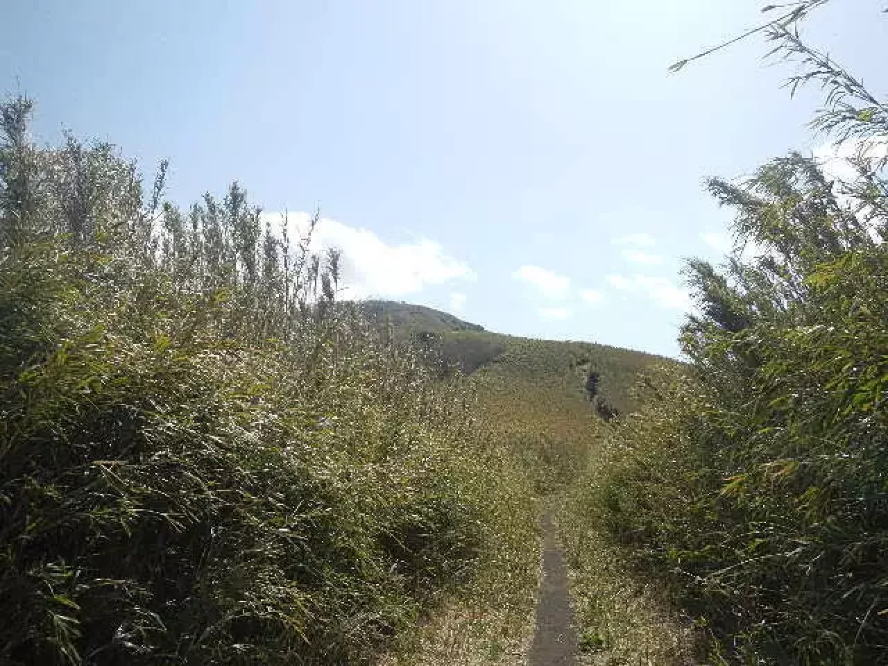 箱根 登山 金時山 明神ヶ岳 登山道