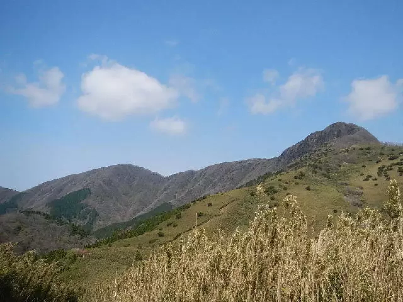 箱根 登山 金時山