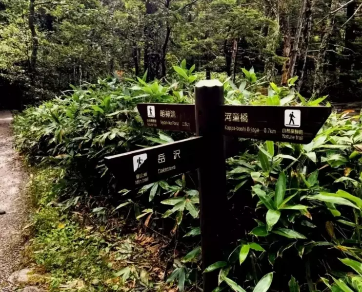 上高地から岳沢を経由し奥穂高岳へ