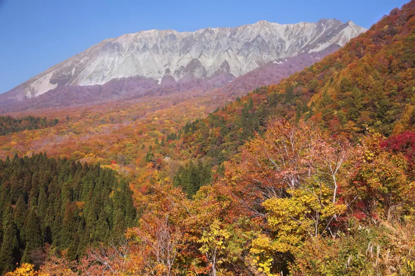 【日帰り】中国地方最高峰!大山登山-難易度別ルートとアクセス、周辺スポットをご紹介