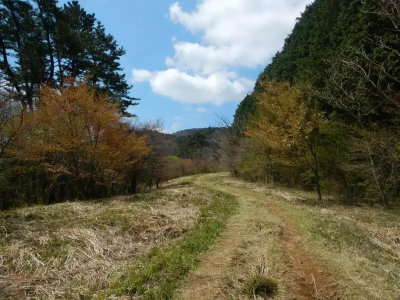 箱根 登山 明神ヶ岳 登山道