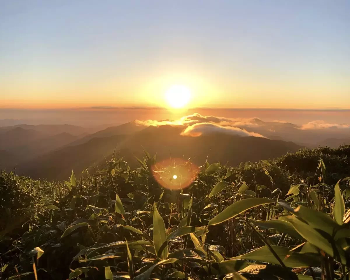 一の森から見た朝日