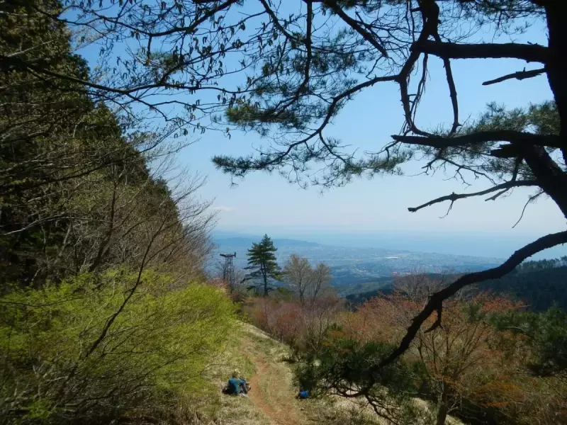 明神ヶ岳 登山 登山道