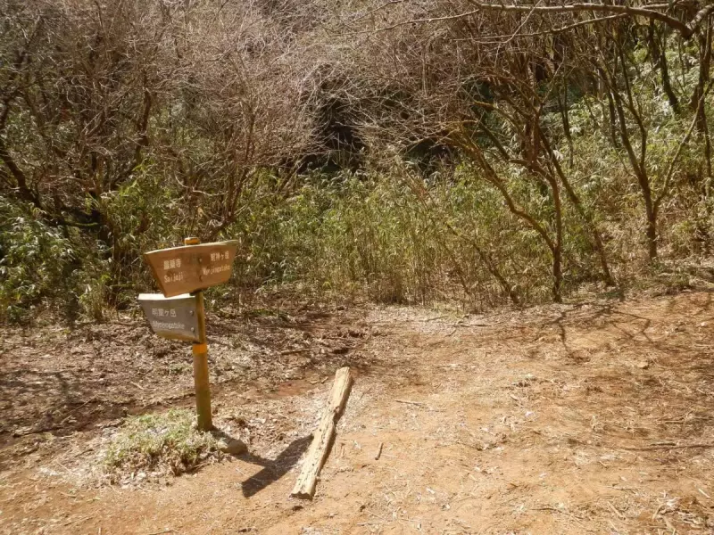 明神ヶ岳 登山 分岐 登山道