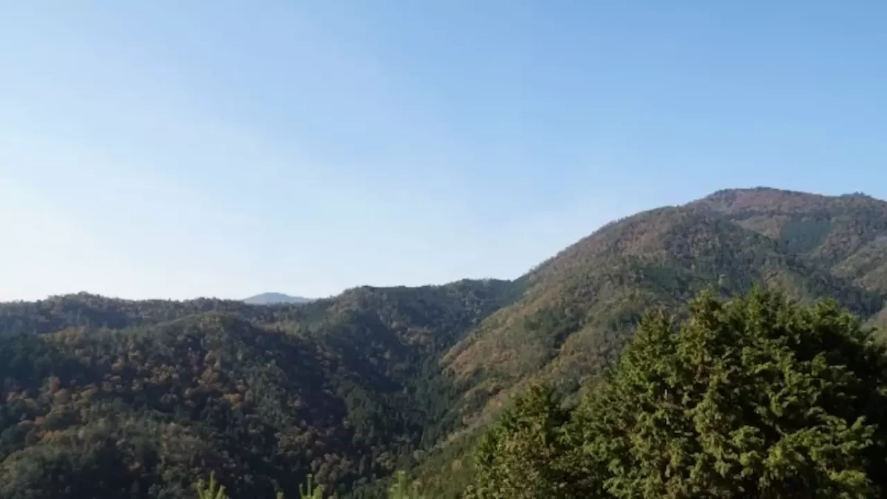愛宕山 登山