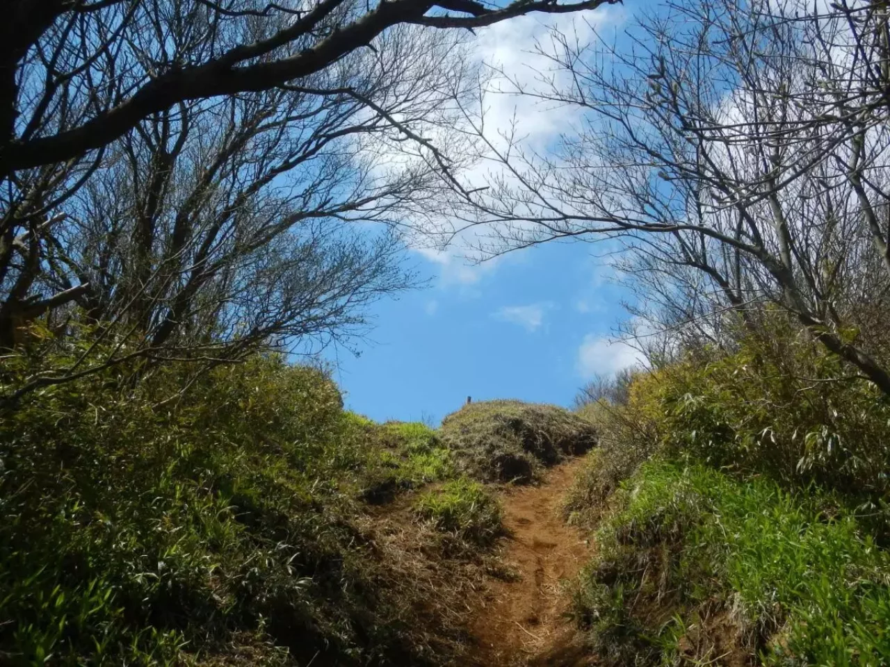 関東百名山 神奈川 明神ヶ岳 箱根