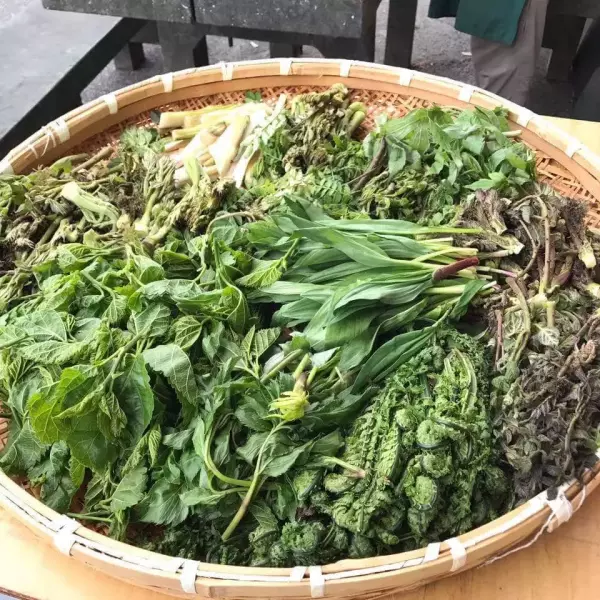 山菜祭り2019