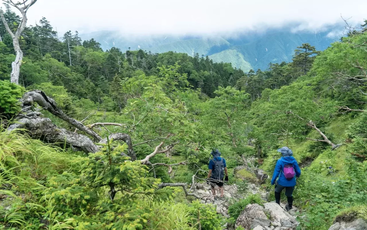 茶臼岳(南アルプス)鳥小屋尾根ルート
