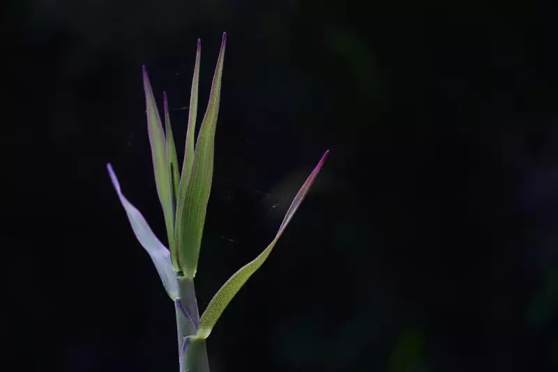 登山 構図 設定 実践