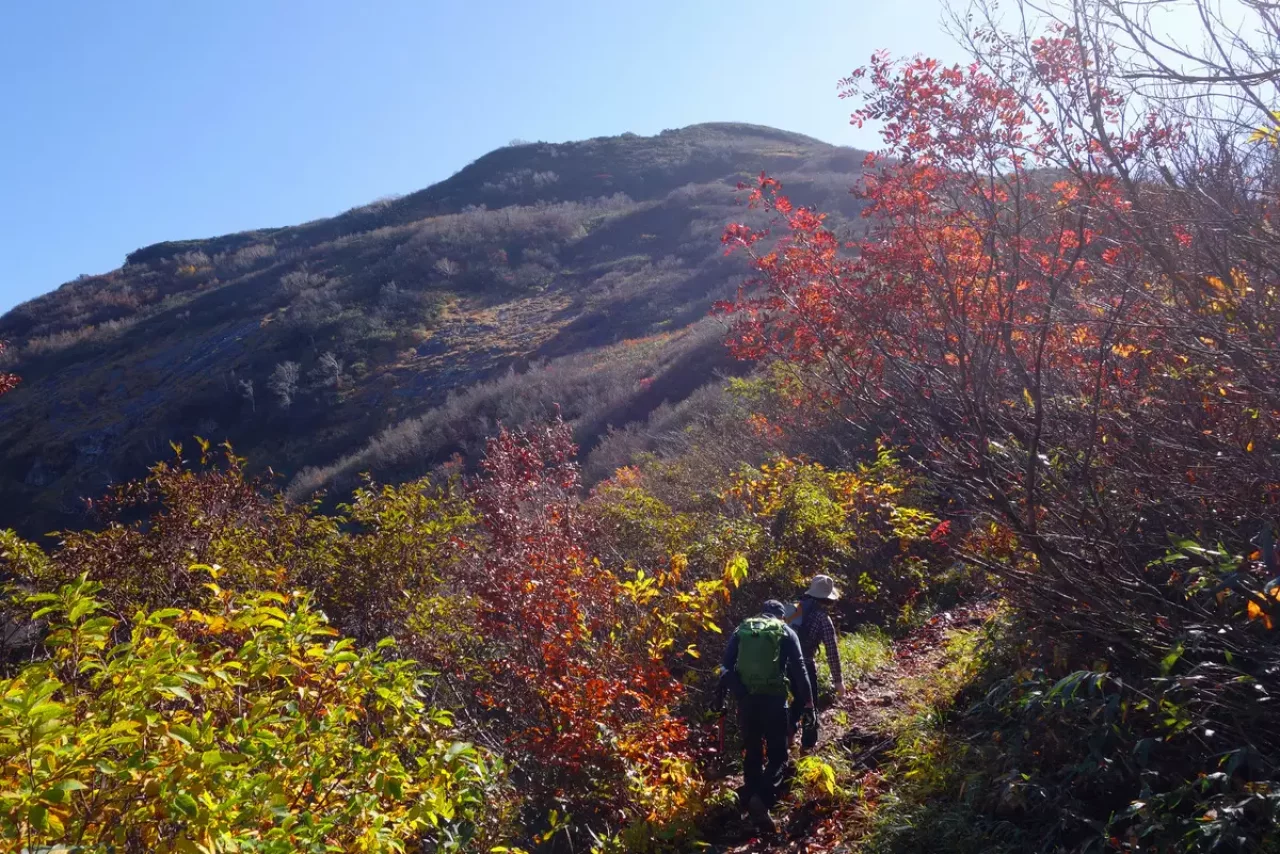 八海山 紅葉 登山