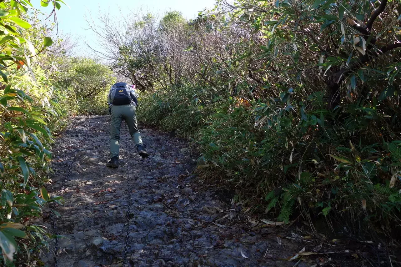 八海山 紅葉 登山