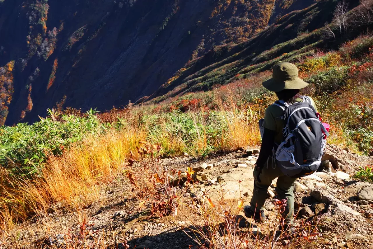 八海山 紅葉 登山