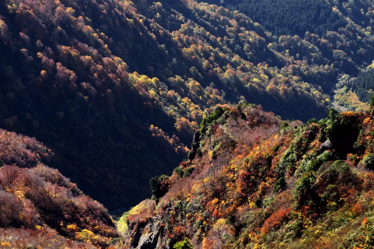 八海山 紅葉 登山