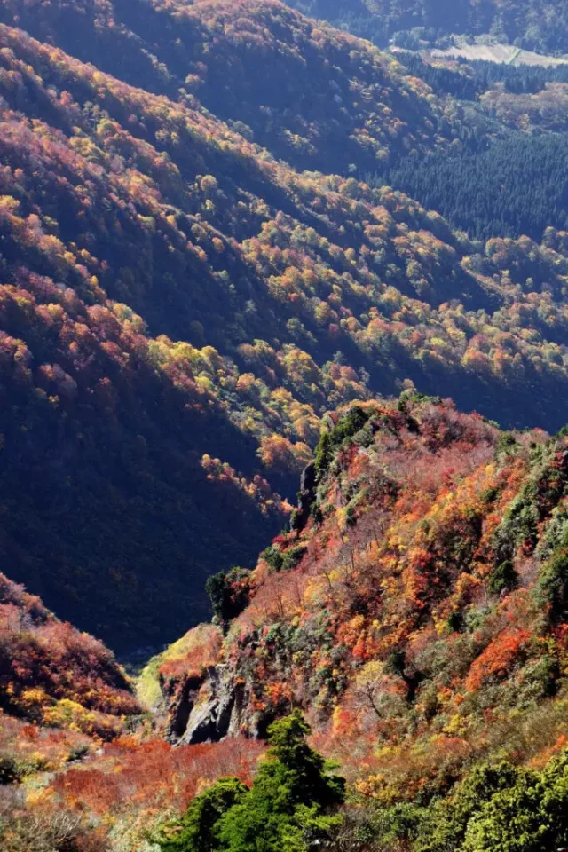 八海山 紅葉 登山