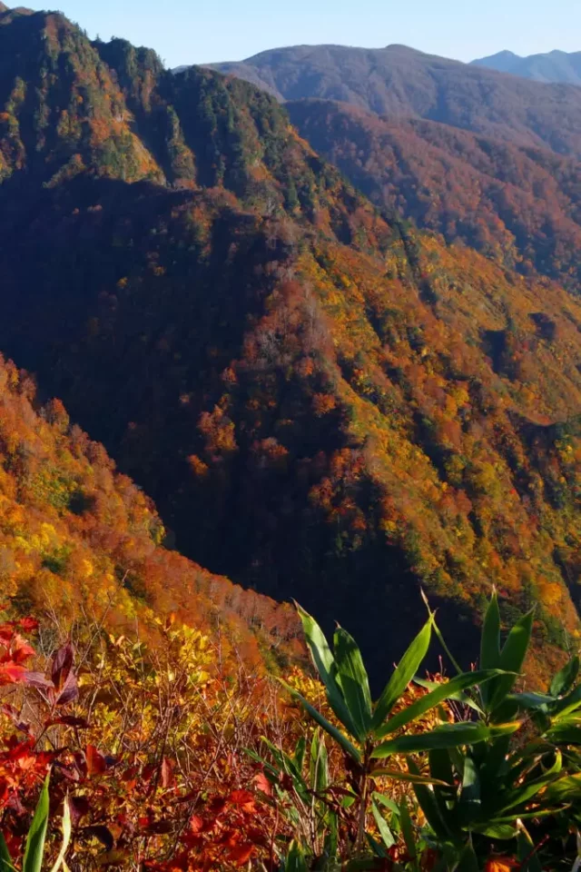 八海山 紅葉 登山