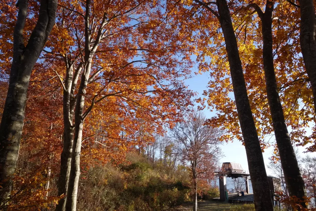 八海山 紅葉 登山