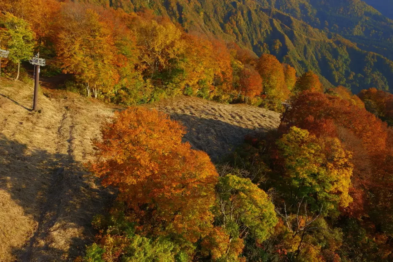 八海山 紅葉 登山