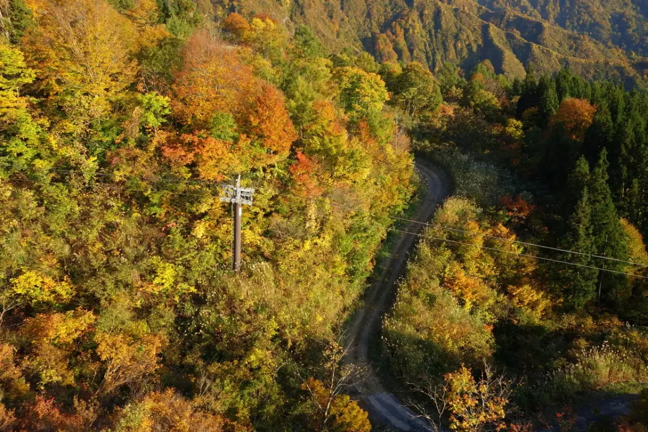 八海山 紅葉 登山