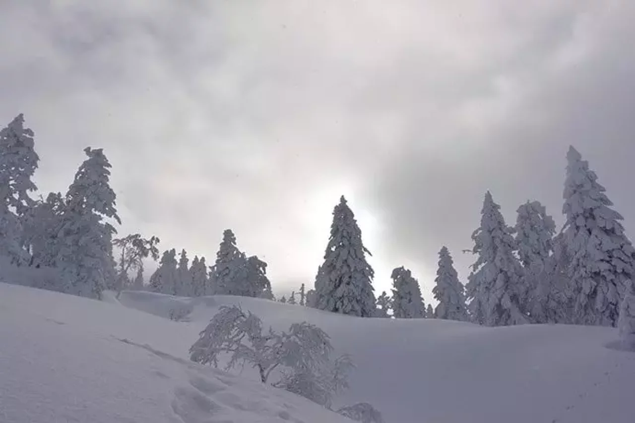 八甲田山荘からの山便り