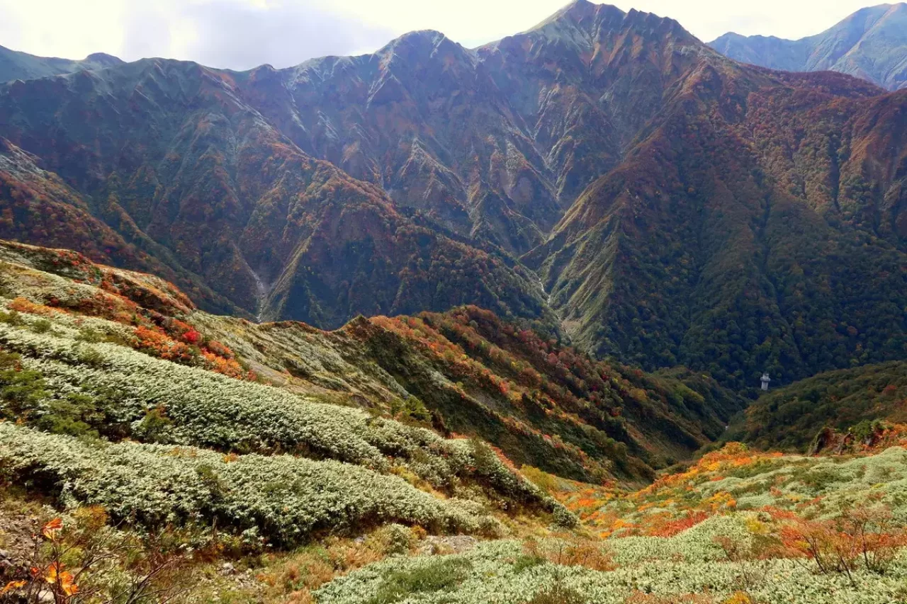 谷川連峰の絶景紅葉その2『茂倉岳・一ノ倉岳・武能岳』