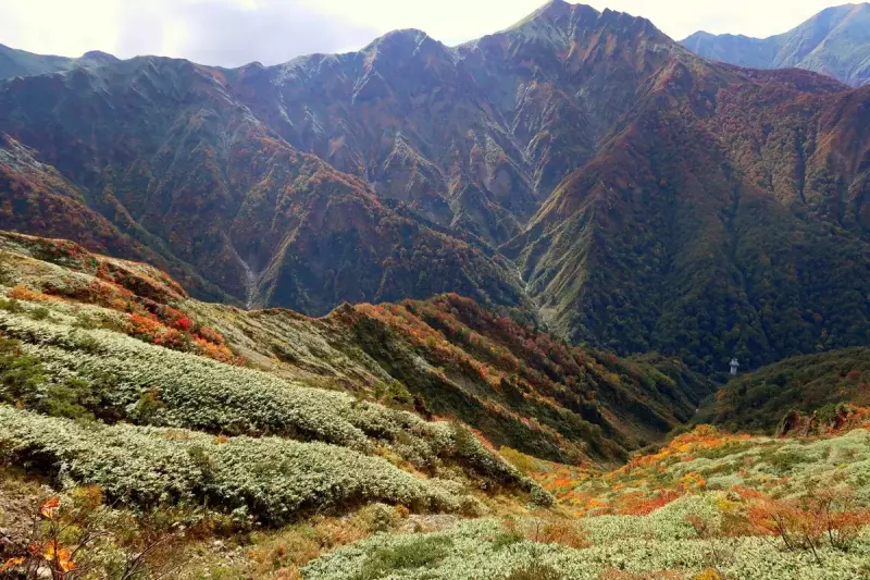 谷川連峰の絶景紅葉その2『茂倉岳・一ノ倉岳・武能岳』
