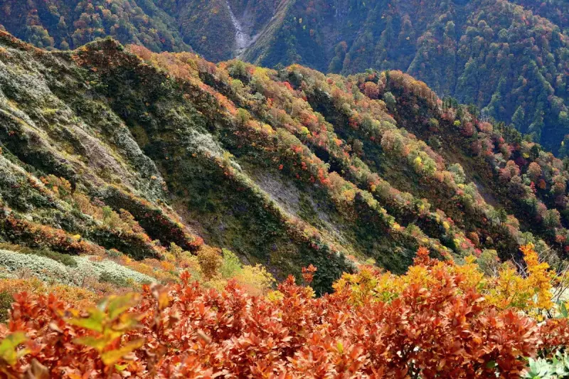 谷川連峰の絶景紅葉その2『茂倉岳・一ノ倉岳・武能岳』登り