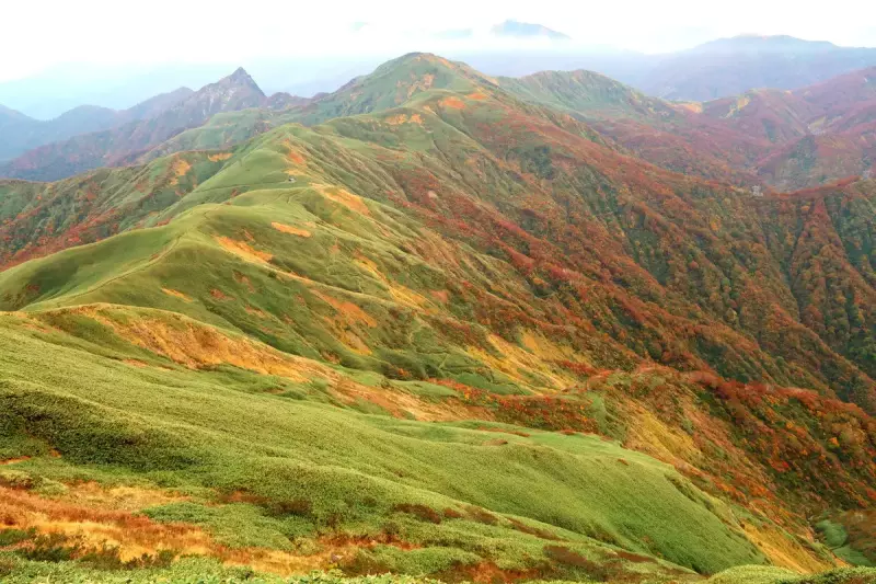 武能岳から 七ツ小屋山、大源太山を臨む