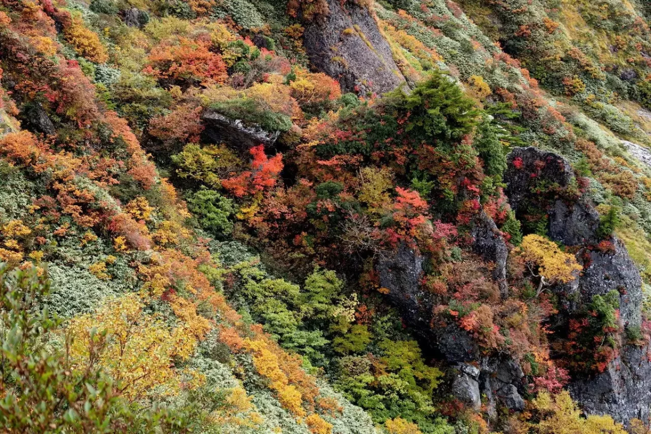 谷川連峰の絶景紅葉その2『茂倉岳・一ノ倉岳・武能岳』登り